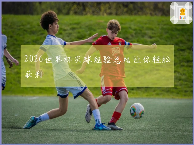 2026世界杯买球经验总结让你轻松获利