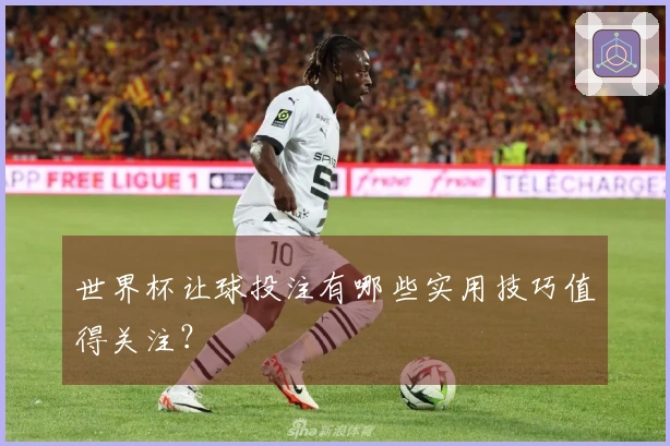 世界杯让球投注有哪些实用技巧值得关注？