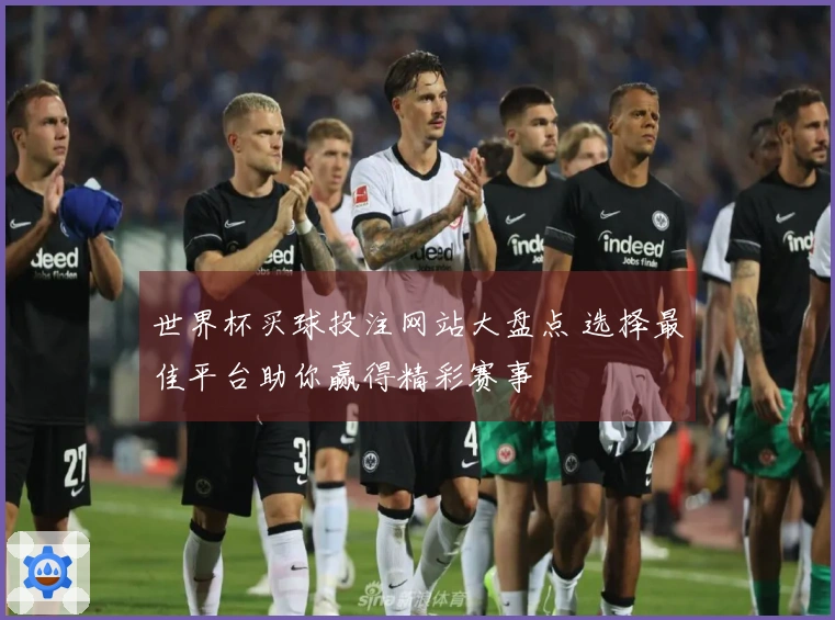 世界杯买球投注网站大盘点 选择最佳平台助你赢得精彩赛事