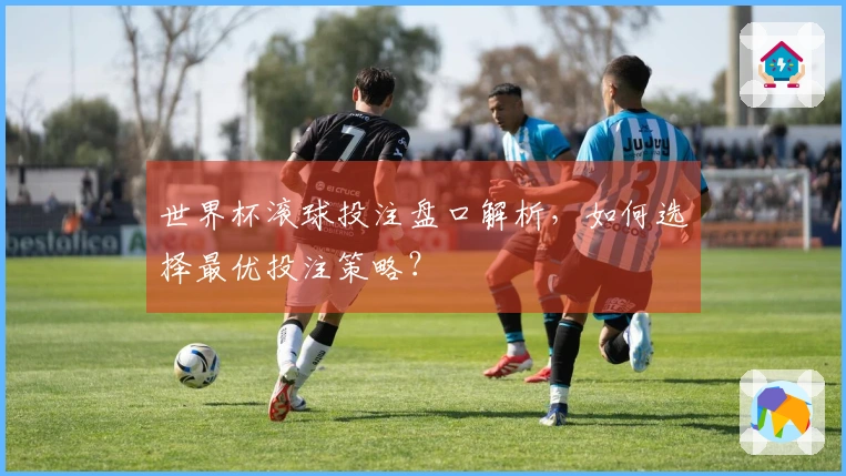 世界杯滚球投注盘口解析，如何选择最优投注策略？