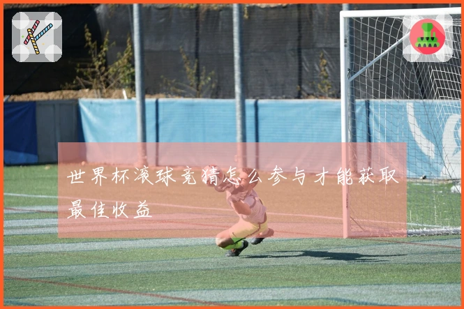 世界杯滚球竞猜怎么参与才能获取最佳收益
