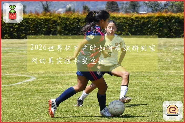 2026世界杯开户时如何有效辨别官网的真实性和安全性