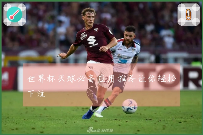 世界杯买球必备应用推荐让你轻松下注