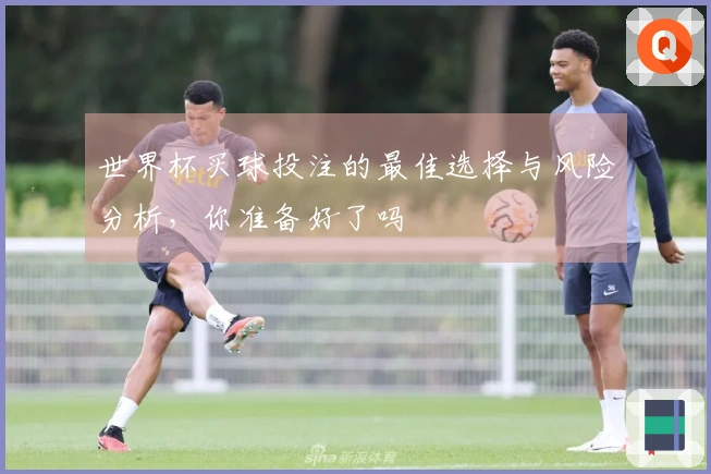 世界杯买球投注的最佳选择与风险分析，你准备好了吗