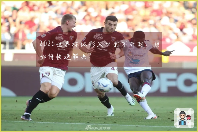 2026世界杯体彩入口打不开时，该如何快速解决？