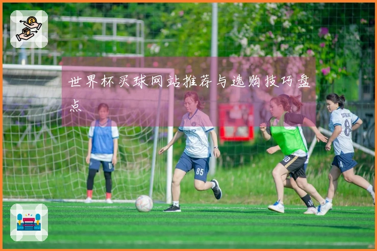 世界杯买球网站推荐与选购技巧盘点