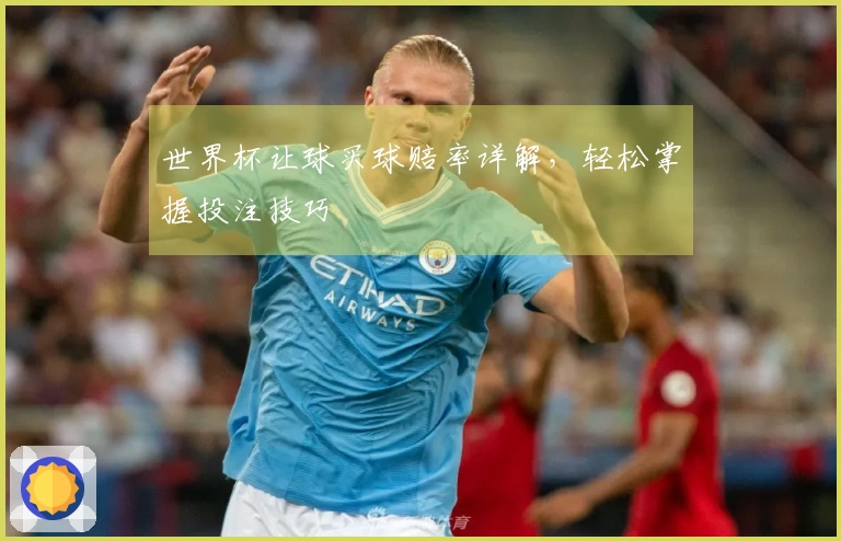 世界杯让球买球赔率详解，轻松掌握投注技巧