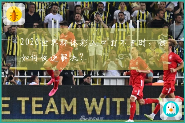 2026世界杯体彩入口打不开时，该如何快速解决？