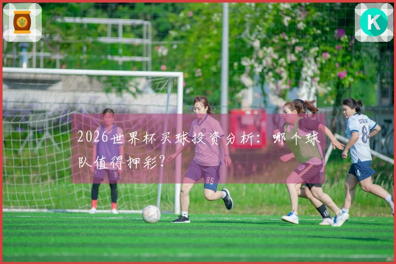 2026世界杯买球投资分析：哪个球队值得押彩？