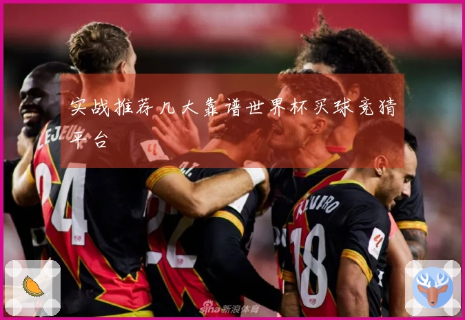 实战推荐几大靠谱世界杯买球竞猜平台