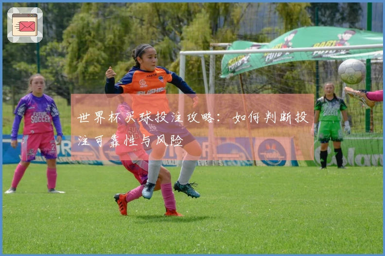 世界杯买球投注攻略：如何判断投注可靠性与风险