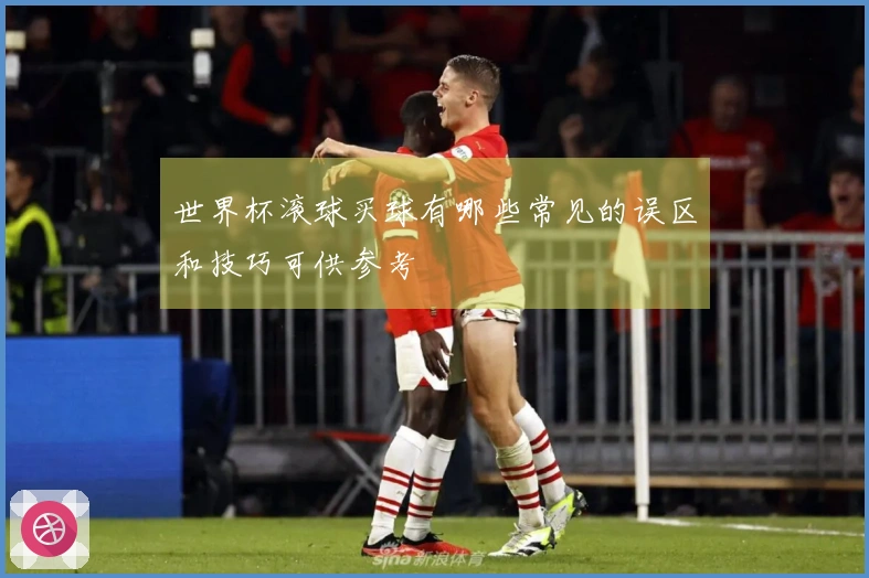 世界杯滚球买球有哪些常见的误区和技巧可供参考