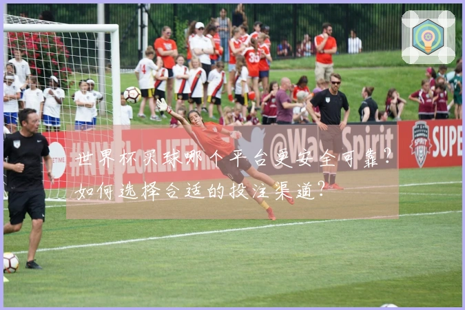 世界杯买球哪个平台更安全可靠？如何选择合适的投注渠道？