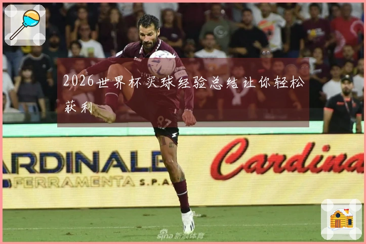 2026世界杯买球经验总结让你轻松获利