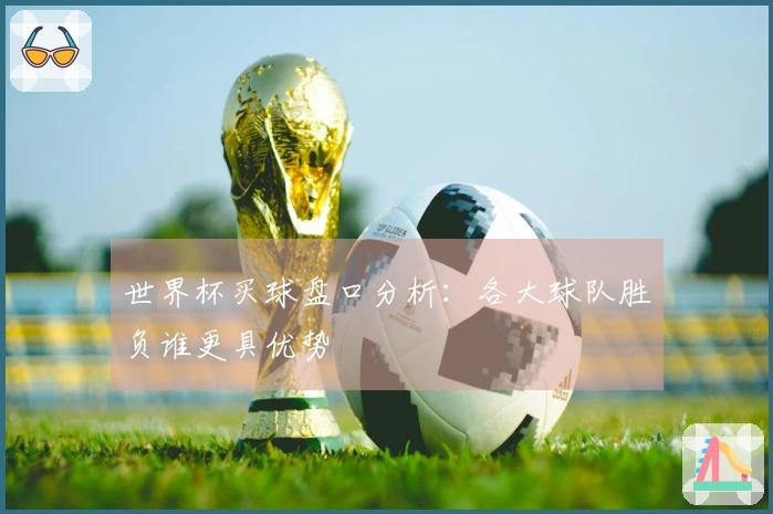 世界杯买球盘口分析：各大球队胜负谁更具优势