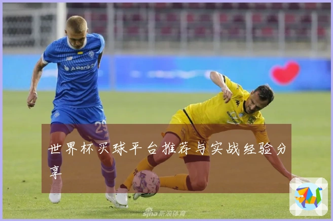 世界杯买球平台推荐与实战经验分享